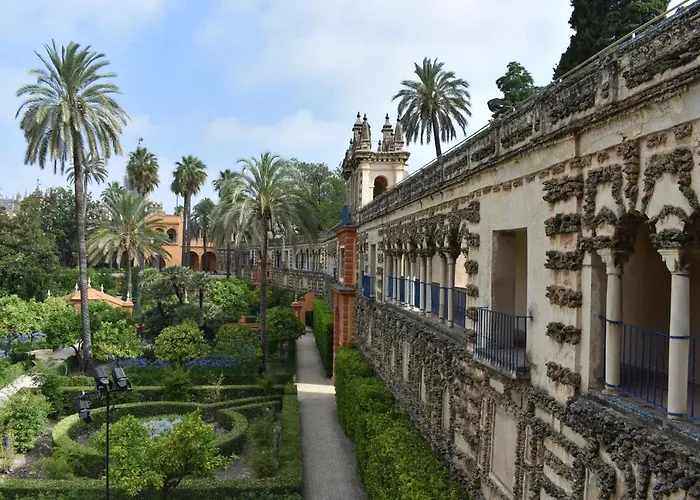 Alameda Sweet Home